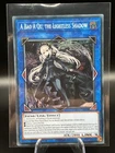 A Bao A Qu, the Lightless Shadow