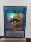Sunavalon Dryas