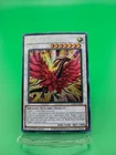 Black Rose Moonlight Dragon