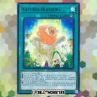 Naturia Blessing