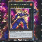 Coach King Giantrainer