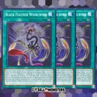 Black Feather Whirlwind