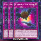 Black Stego
