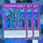Victory of the Shadow Riders