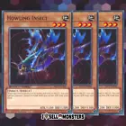 Ultimate Insect LV3