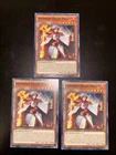 D.D. Warrior Lady