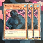 Mother Grizzly