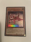 Amazoness Baby Tiger
