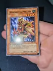 Amazoness Paladin