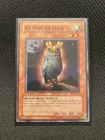 An Owl of Luck