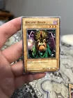 Ancient Brain