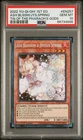 Ash Blossom & Joyous Spring