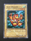 Baby Dragon