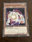 Big Shield Gardna