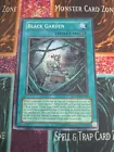 Black Garden