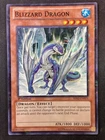Blizzard Dragon
