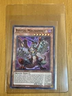 Power Giant