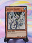 Black Dragon's Chick