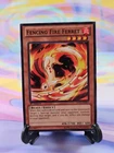 Fencing Fire Ferret