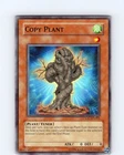Copy Plant