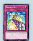 Damage Diet