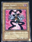 Dark Rabbit
