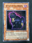 A Cat of Ill Omen