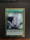 Dragon's Fighting Spirit