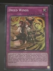 Dried Winds