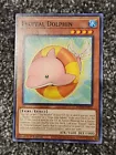 Fluffal Dolphin