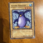 Flying Penguin