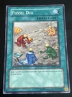 Fossil Dig