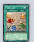 Fossil Dig