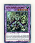 Fossil Warrior Skull Knight