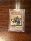 Freed the Brave Wanderer