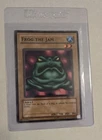Turtle Bird