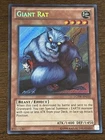 Giant Rat
