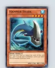 Hammer Shark
