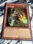 Hapi, Guidance of Horus