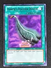 Harpie's Feather Duster
