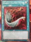 Harpie's Feather Duster