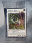 Armory Arm