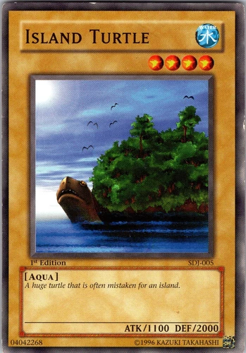 UFO Turtle