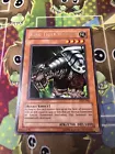 King Tiger Wanghu