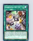 Welcome Labrynth