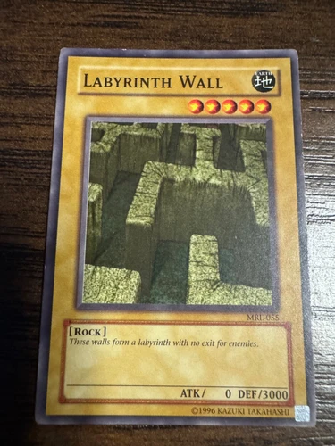 Labyrinth Wall