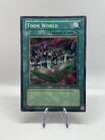 Toon World