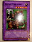 Rabid Horseman