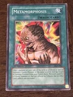 Metamorphosis