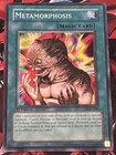 Guardian Sphinx
